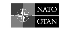 nato-gray 300x134